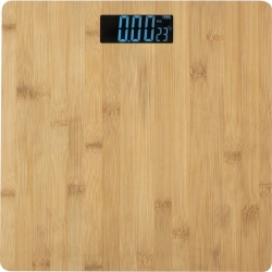 Bathroom scale