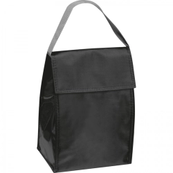 Cooler bag