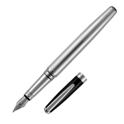 Fountain pen Pierre Cardin