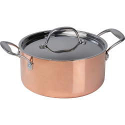 Induction pot CrisMa ⌀20,5 cm