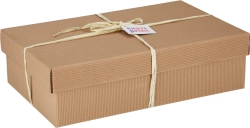 Large cardboard box
