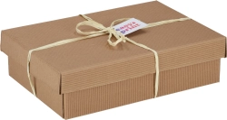 Medium cardboard box