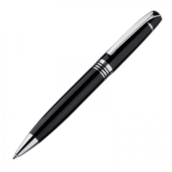 Metal pen in case