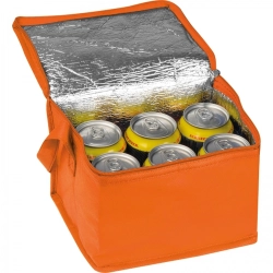 Non-woven thermal bag for 6 cans 330 ml