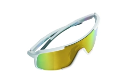 Polarized sunglasses Schwarzwolf