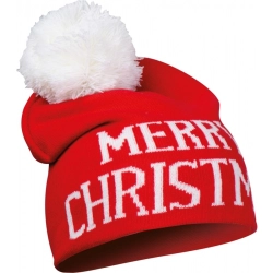 Winter Christmas hat