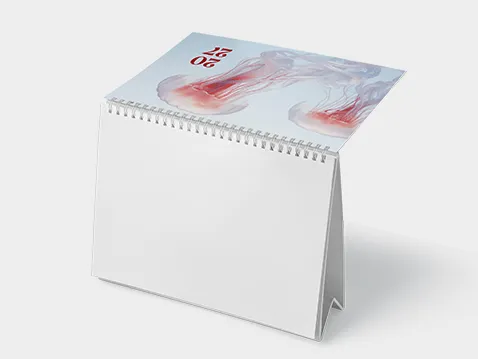 Wirebound pyramid calendars (monthly)
