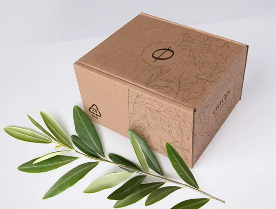 Printed ECO shipping boxes online printing 1