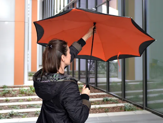 Reversible folding umbrella online printing 2