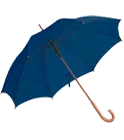Automatic umbrella with wooden handle online printing