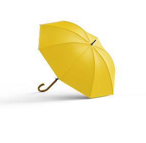 Umbrellas & raincoats